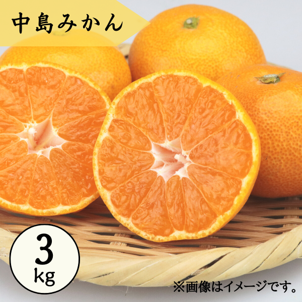 愛媛県産 中島みかん S-L 3kg箱 商品サムネイル